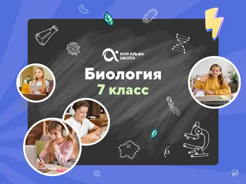 Онлайн-занятия с репетитором по биологии. 7 класс — myalfaschool.ru